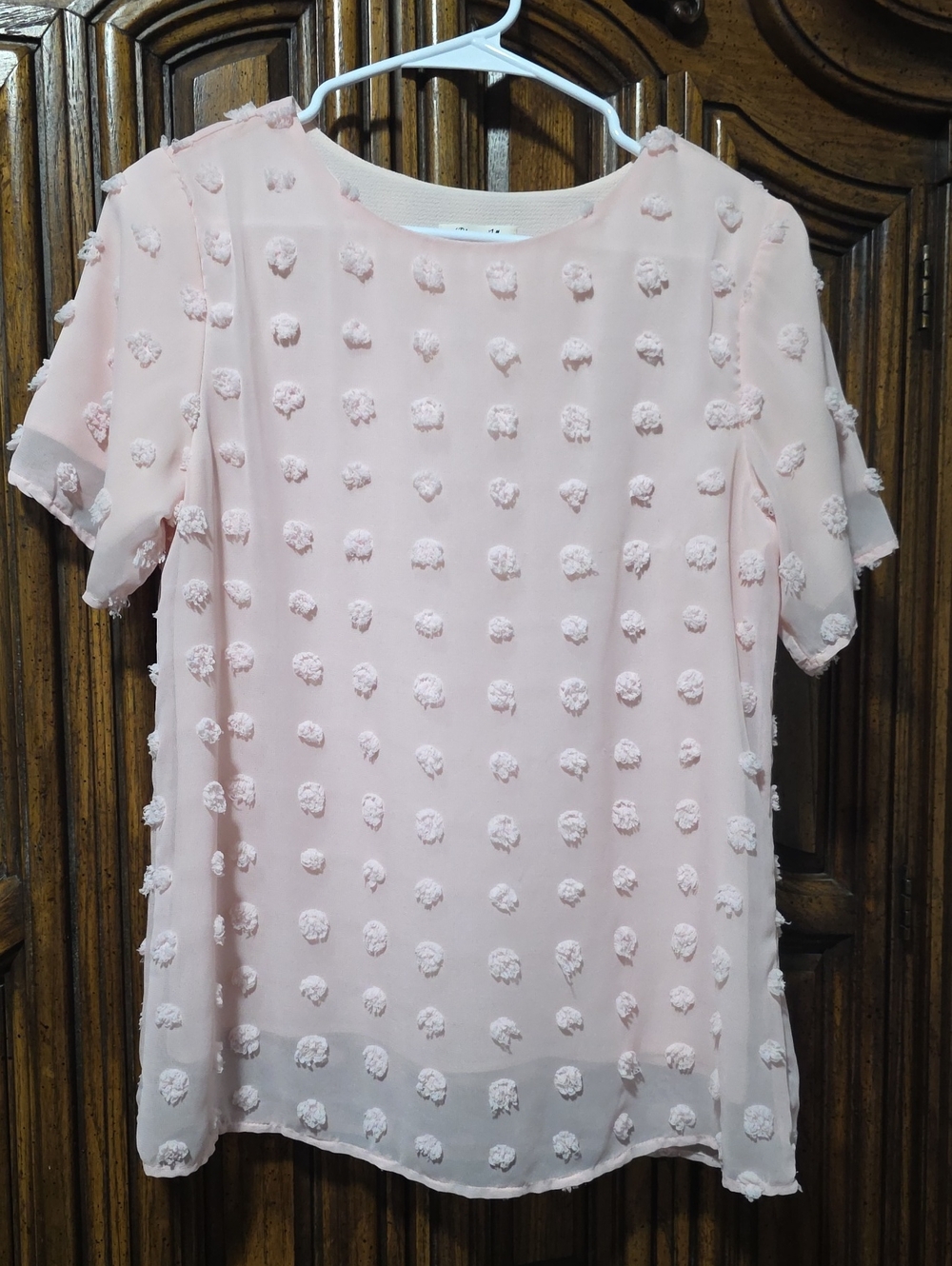Light Pink Pom Dot Short Sleeve Blouse - Women's